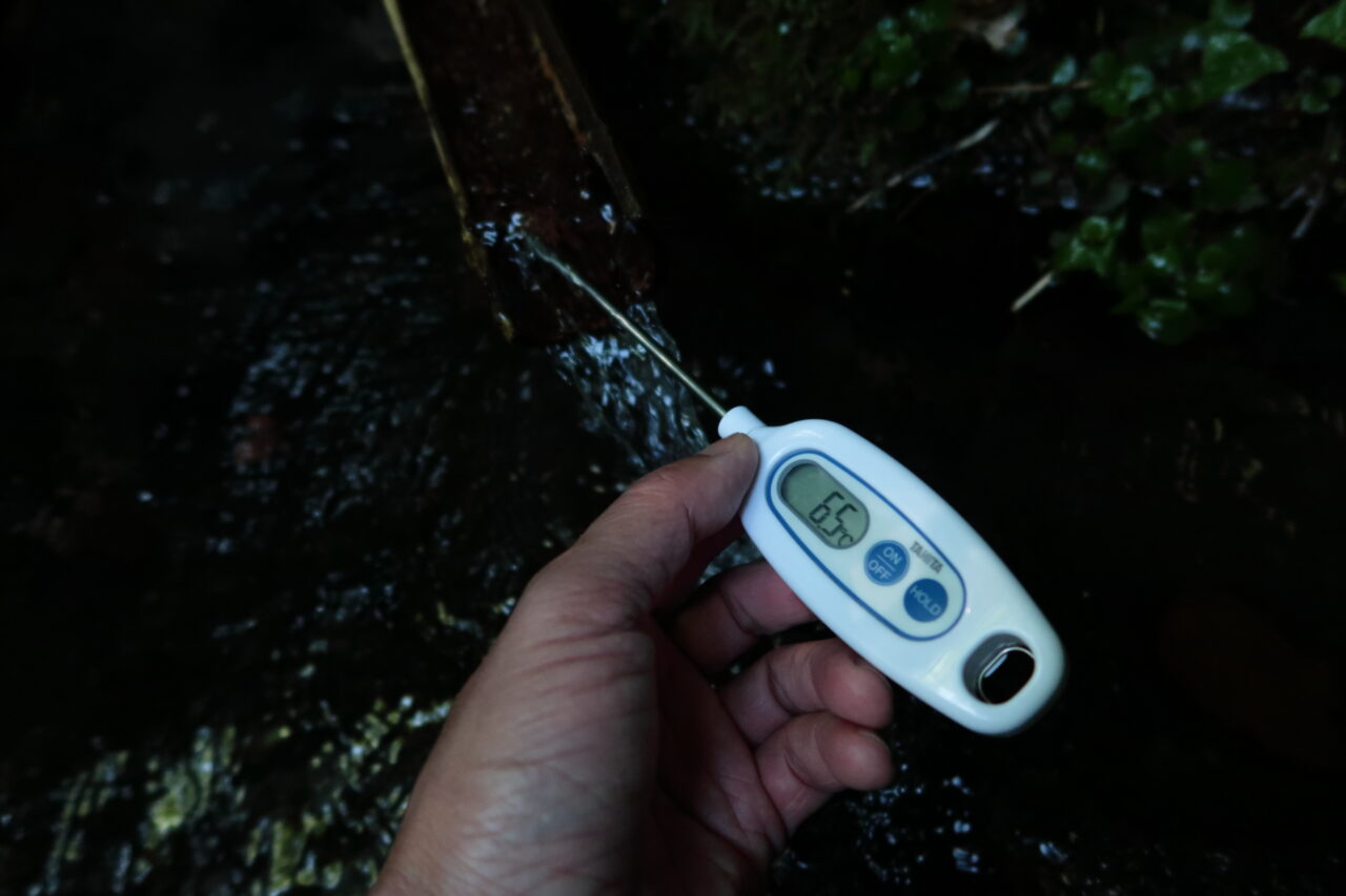 黒岳原生林　かくし水の温度6.5℃
